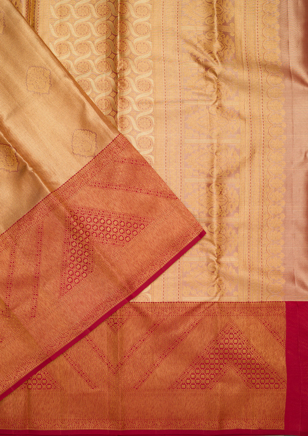 Gold Tissue Jaal Saree With Matching Blouse Piece