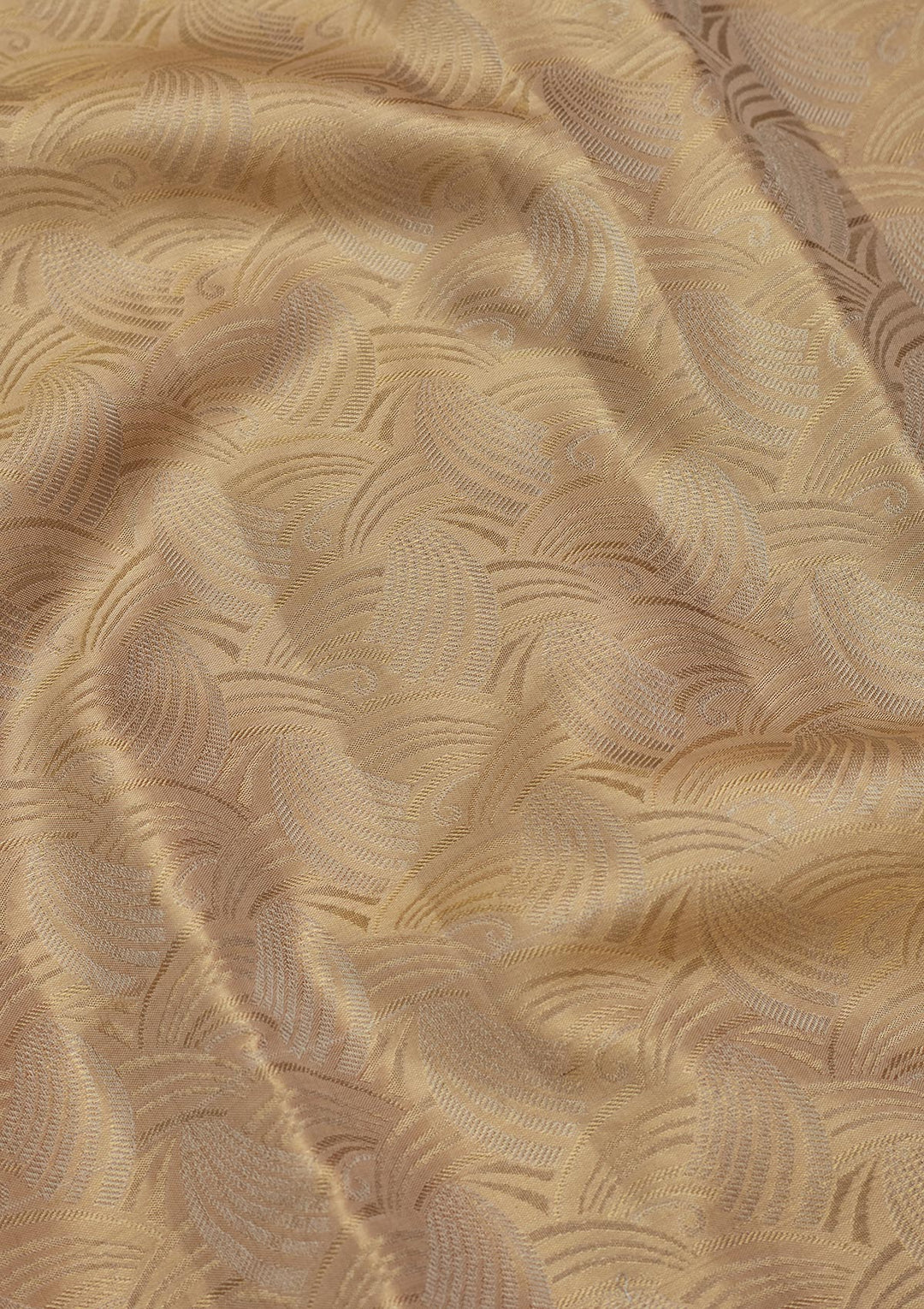 Gold Tissue Jaal Saree With Matching Blouse Piece