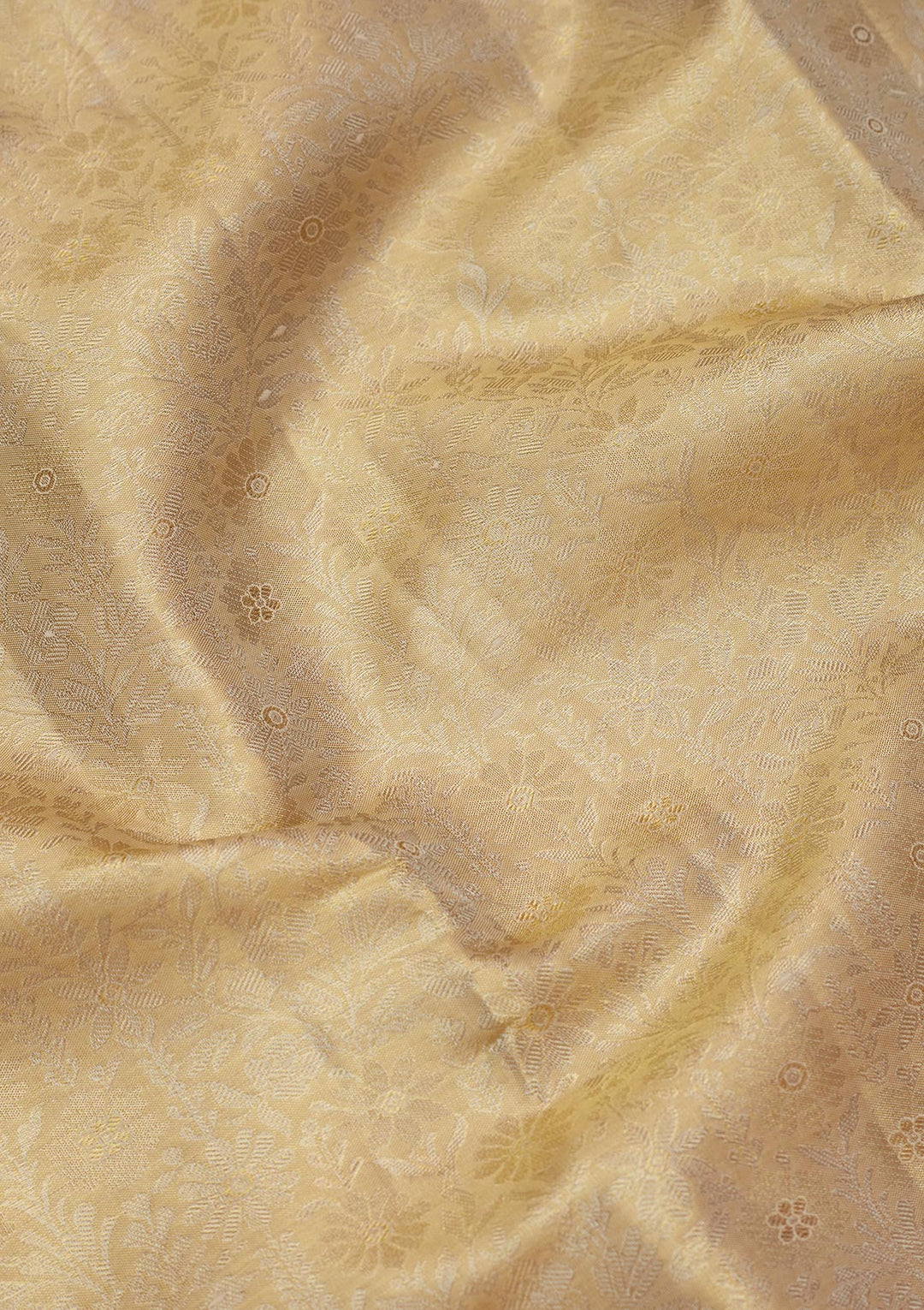 Pista Green Zariwork Tissue Silk Saree