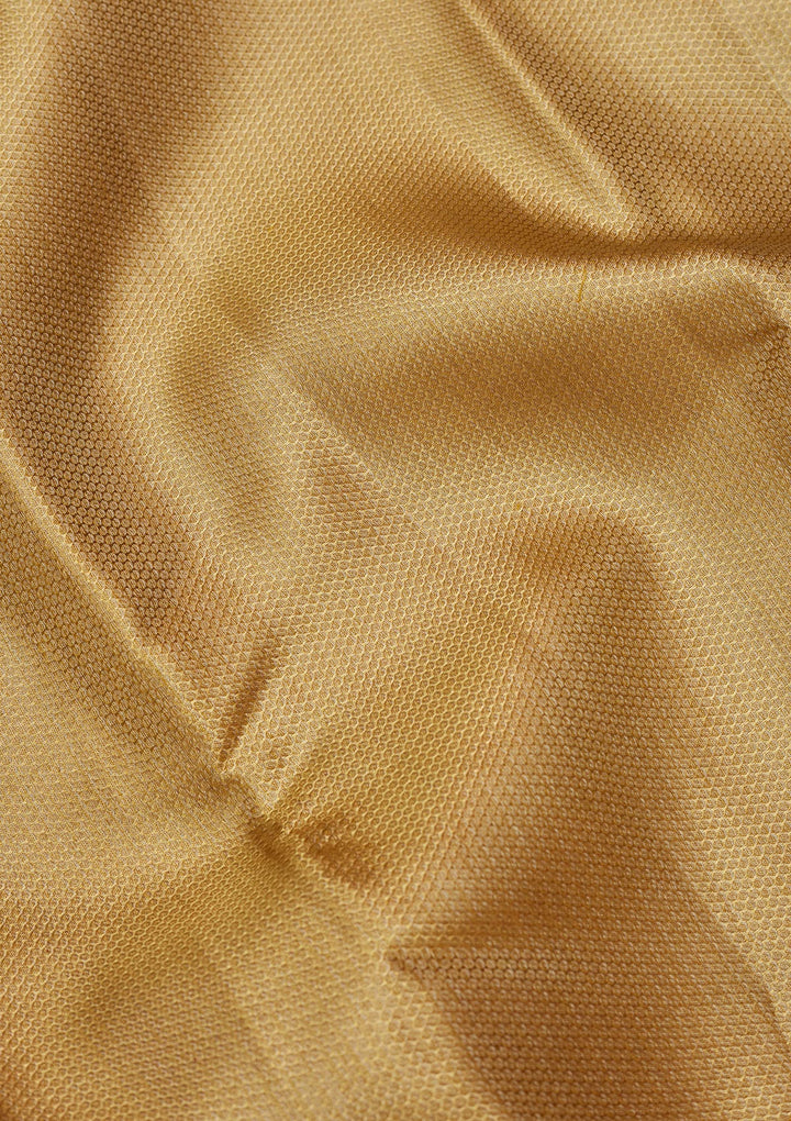 Gold Tissue Jaal Zariwork Saree With Matching Blouse Piece