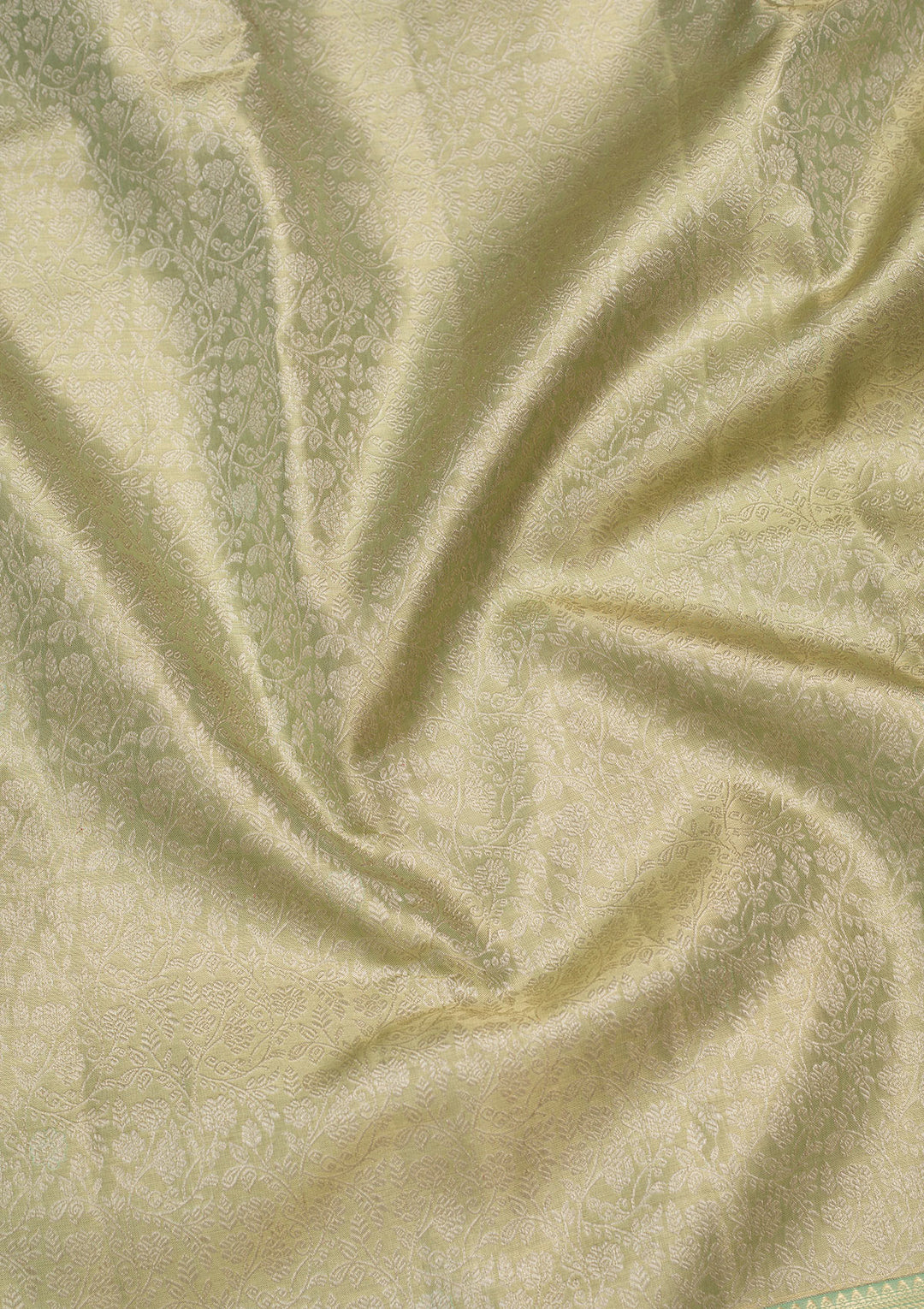 Pista Green Zariwork Tissue Silk Saree