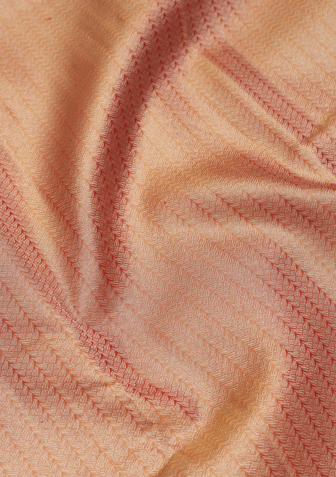 Rust Zariwork Tissue Silk Saree