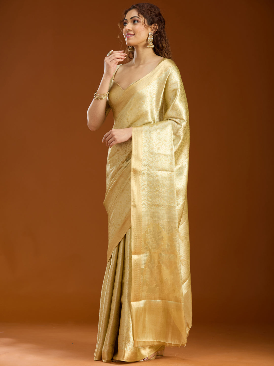 Gold Tissue Jaal Gold Zariwork Saree With Matching Blouse Piece