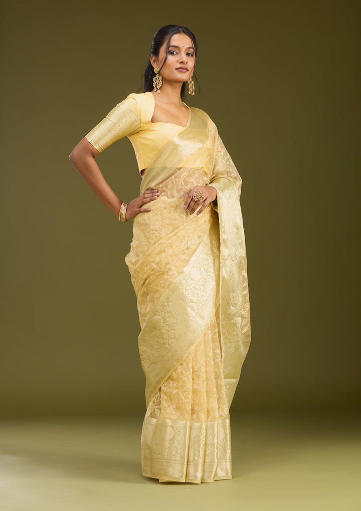 Beige Tissue Jaal Gold Zariwork Saree With Matching Blouse Piece
