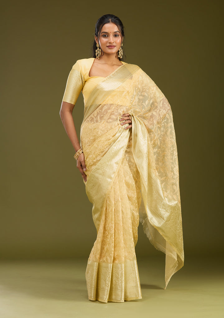 Beige Tissue Jaal Gold Zariwork Saree With Matching Blouse Piece