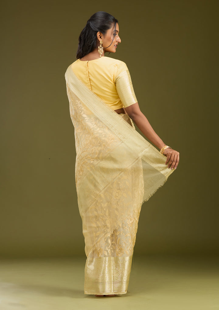 Beige Tissue Jaal Gold Zariwork Saree With Matching Blouse Piece