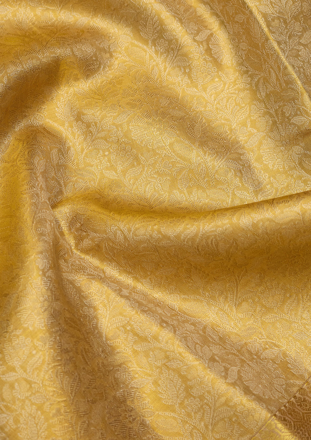 Gold Zariwork (Gold) Silk Saree