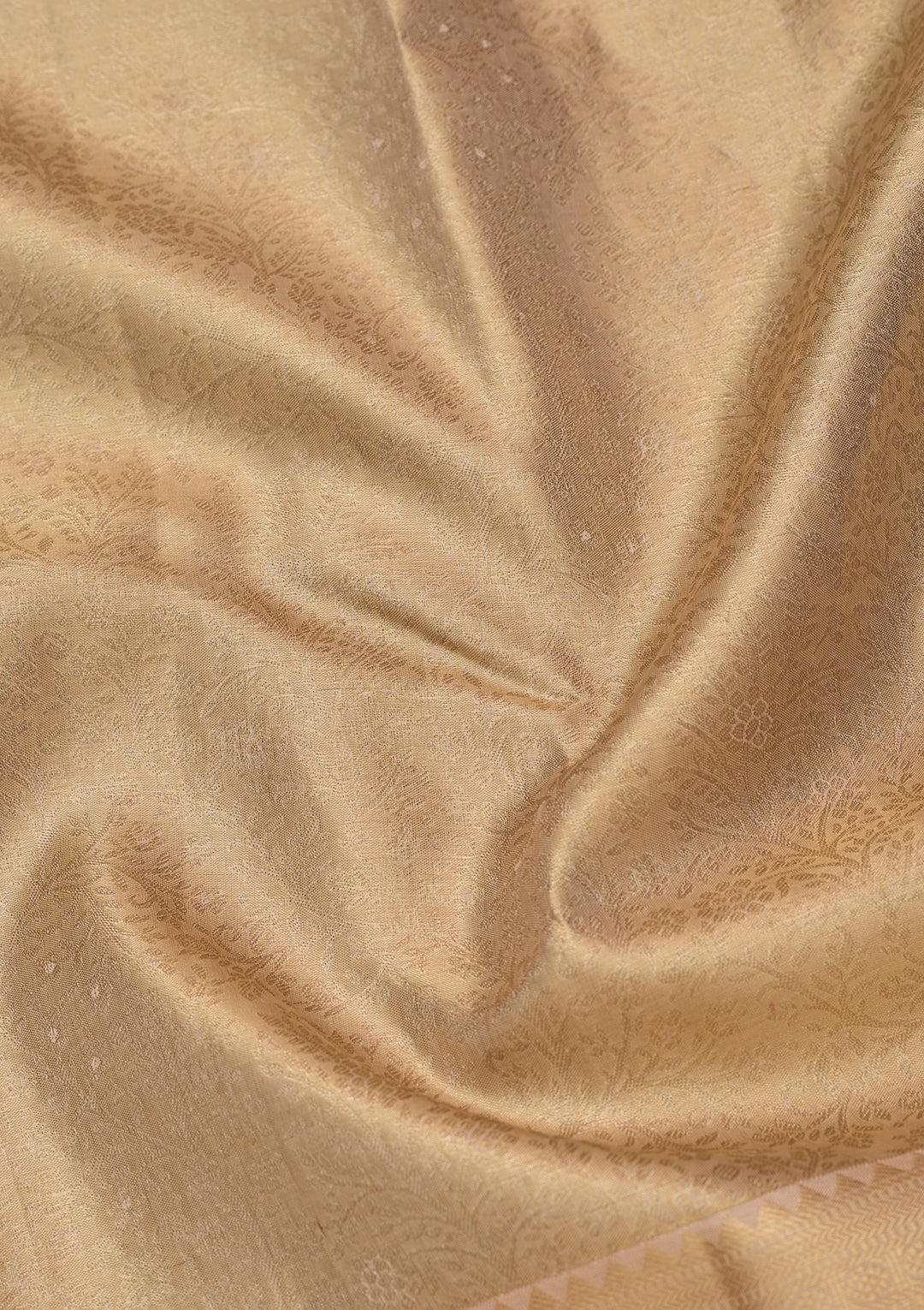 Beige Silk Jaal Saree With Matching Blouse Piece