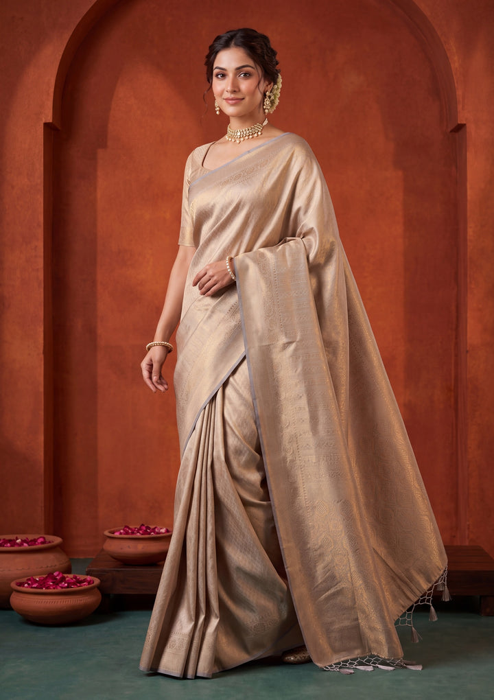 Light Grey Silk Jaal Saree With Matching Blouse Piece