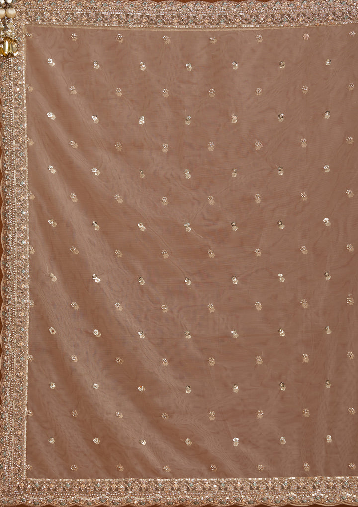 Sequins Beige Net Stitched Lehenga Blouse With Dupatta