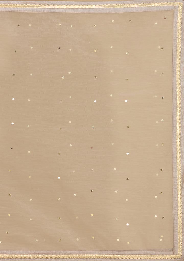 Light Grey Tissue Cutdana Straight Kurta With Palazzo And Dupatta