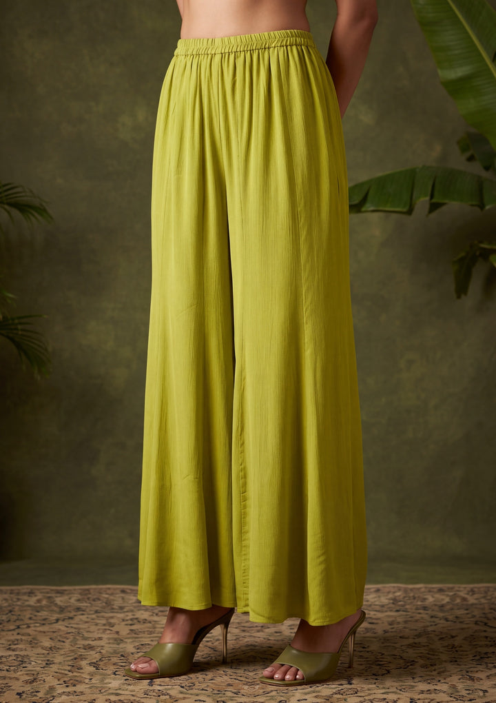 Parrot Green Zariwork (Gold) Chinon Readymade Salwar Suit