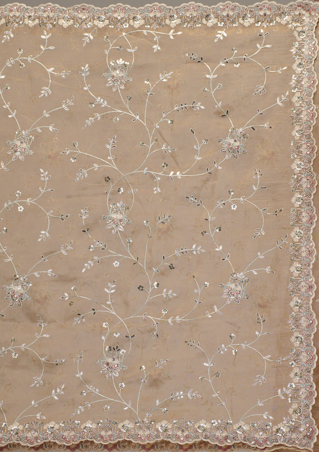 Beige Organza Silver Zariwork Saree With Matching Blouse Piece