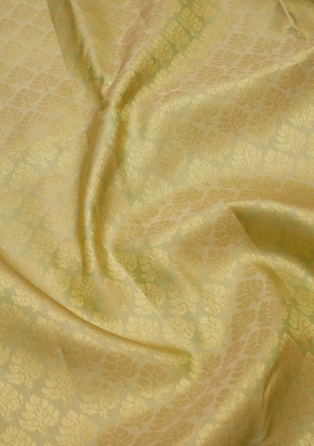 Cream Silk Jaal Gold Zariwork Saree With Matching Blouse Piece