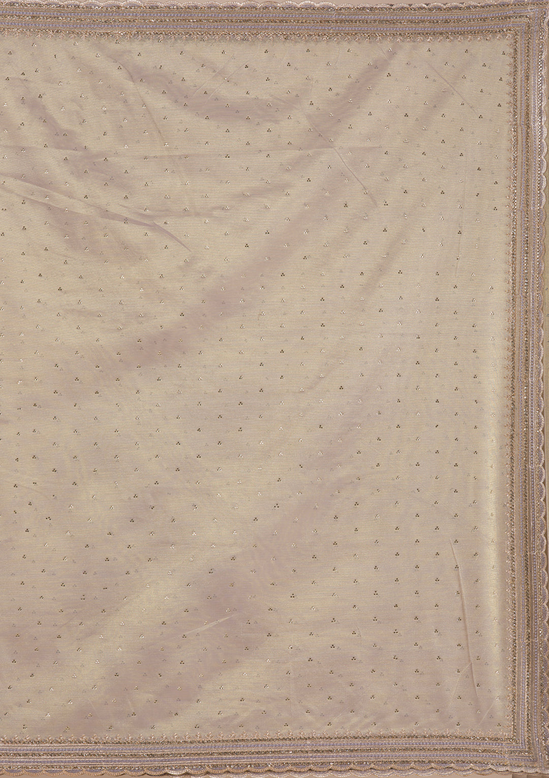 Grey Zariwork Organza Saree