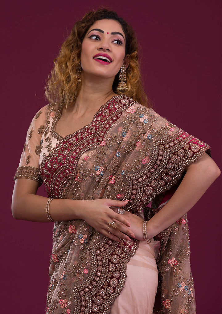 Light Brown Stonework Net Saree