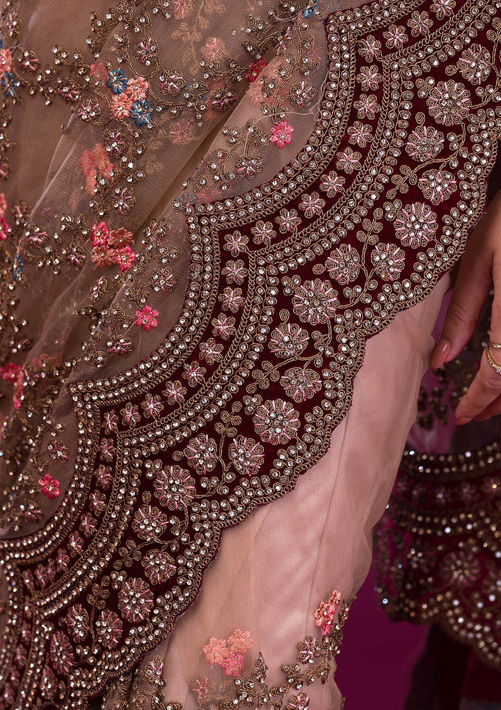 Light Brown Stonework Net Saree