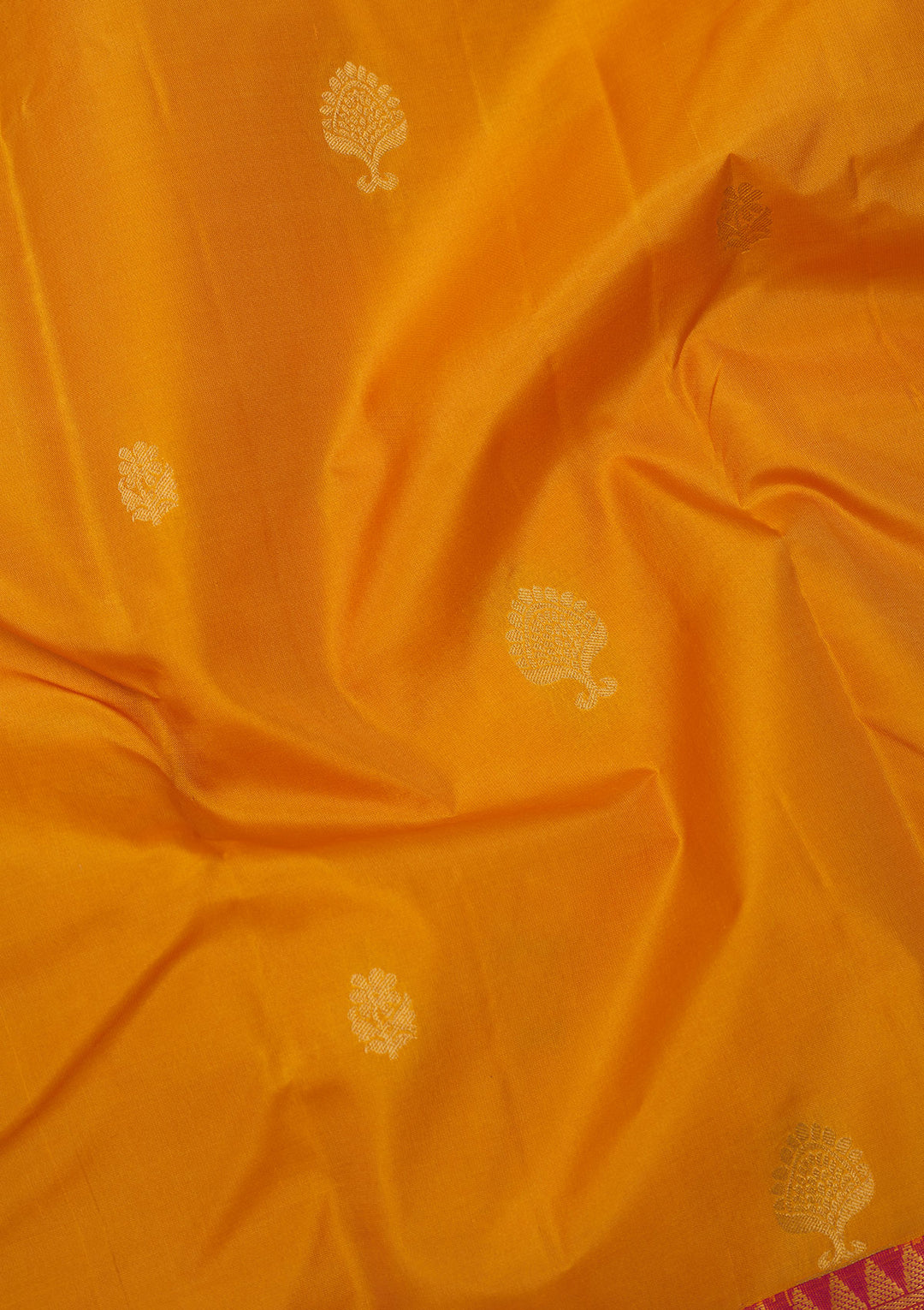 Mustard Zariwork Pure Silk Saree