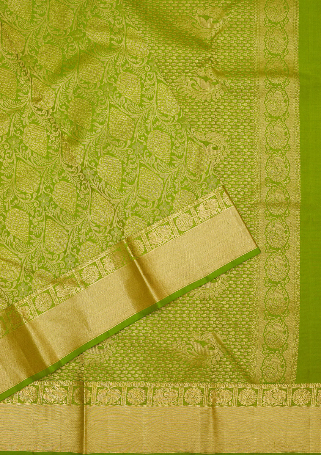 Parrot Green Silk Jaal Gold Zariwork Saree With Matching Blouse Piece