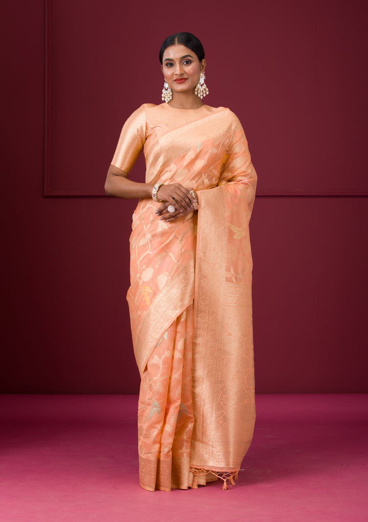 Peach Silk Jaal Gold Zariwork Saree With Matching Blouse Piece