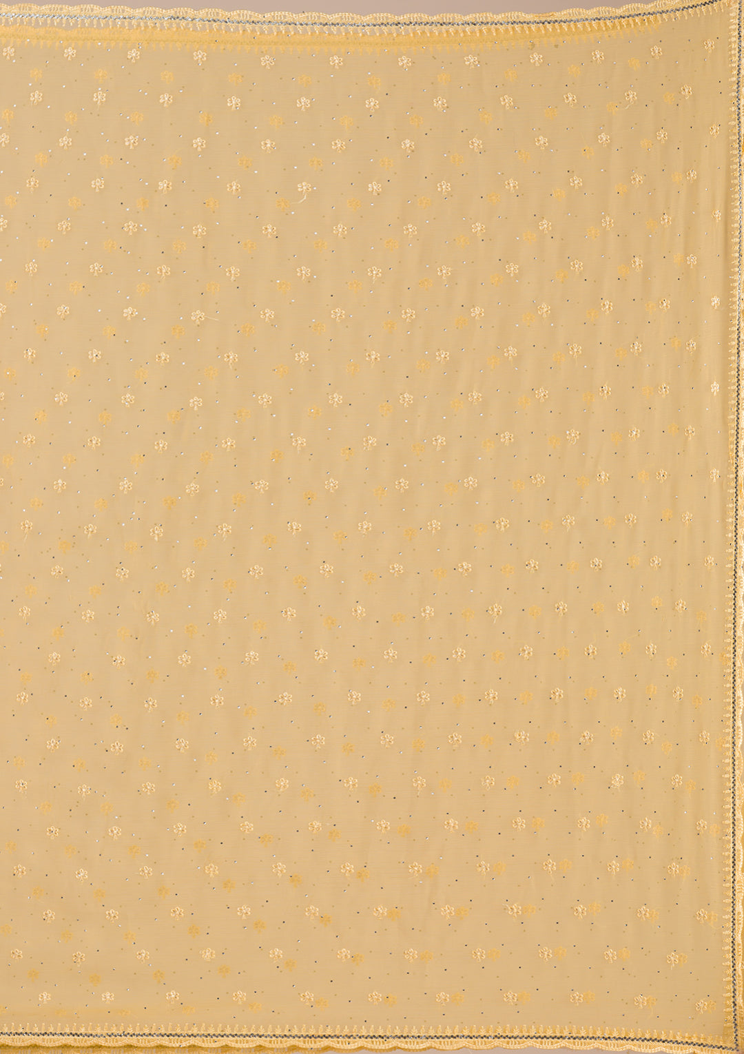 Yellow Threadwork Chiffon Saree