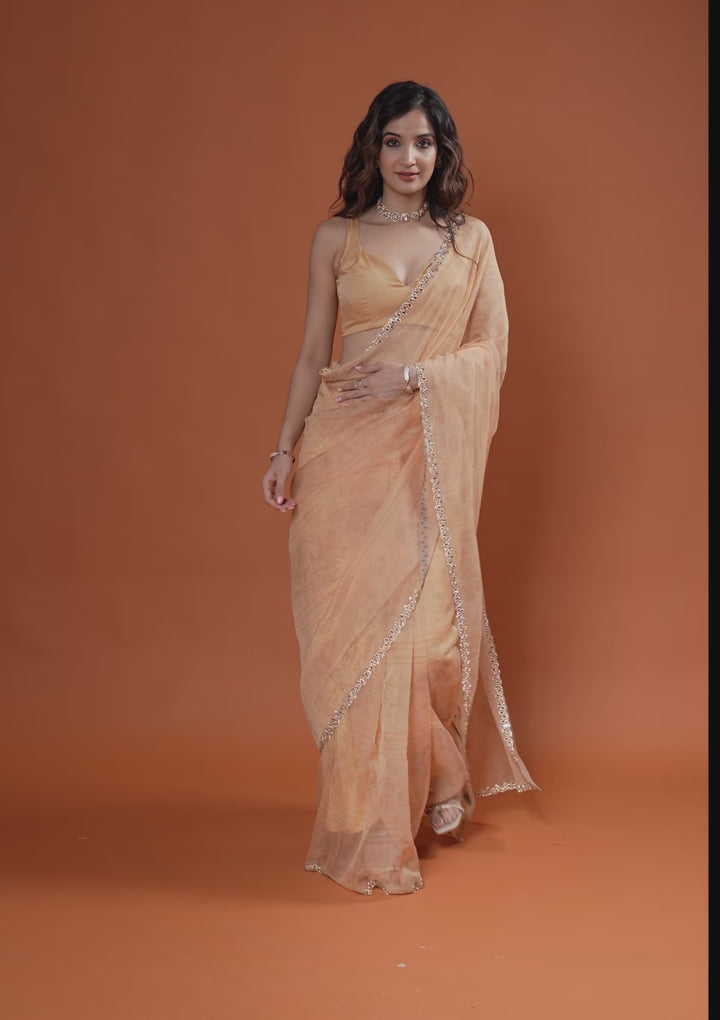 Light Peach Organza Floral Gold Zariwork Saree With Matching Blouse Piece